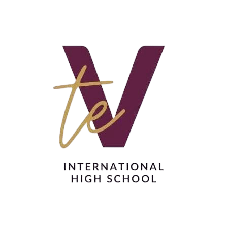 Te Vizja International High School